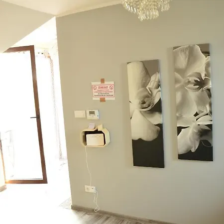 Apartment Goscinne U Grazki *
